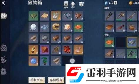 冰原守卫者装备搭配秘籍大揭秘