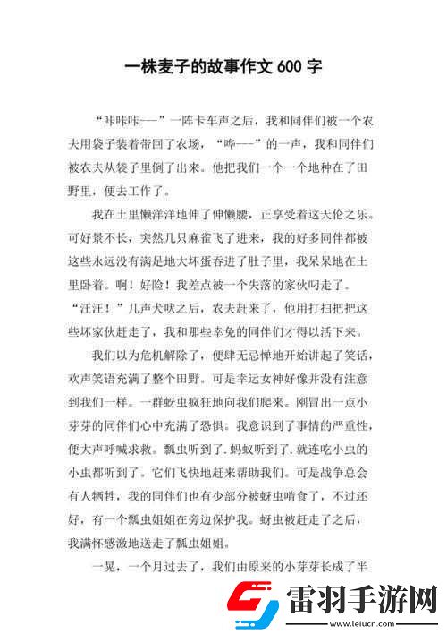 朋友麦子3的抵债之举