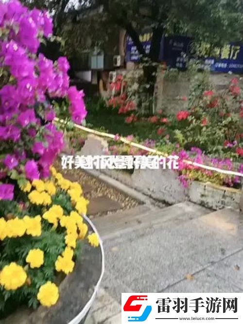 一花一世界一树一菩提的深刻含义与解读