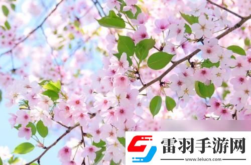 300好感原来你是个“玩弄”人心的家伙！