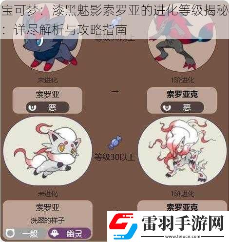 宝可梦