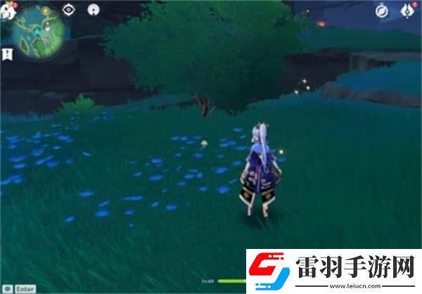 原神全手鞠获取位置攻略