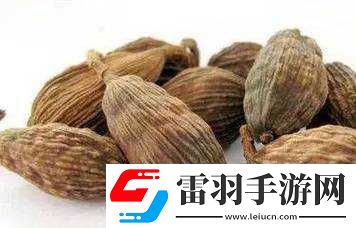 盐母