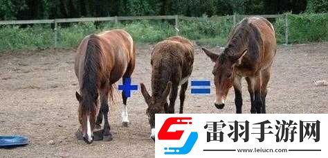 傻大壮长着驴一样的东西是什么