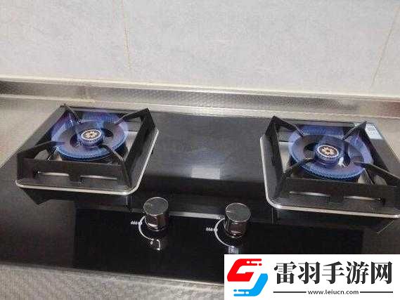 肉食家庭食取报告