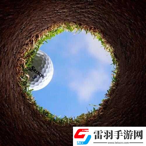 我是高尔夫球洞