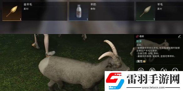 七日世界金羊毛怎么获得