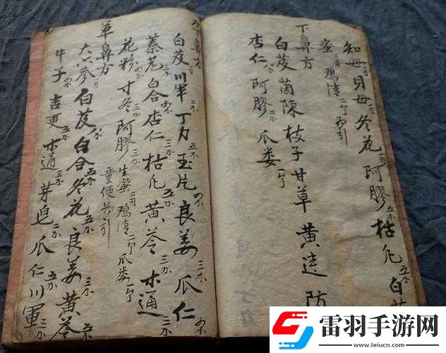 久战不泄中药秘方