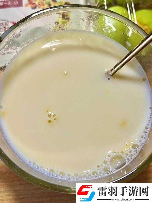 折腾了一个多小时才弄出来的豆浆