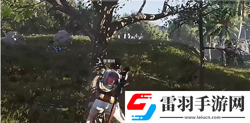 七日世界雪国人生苹果获得方法是啥