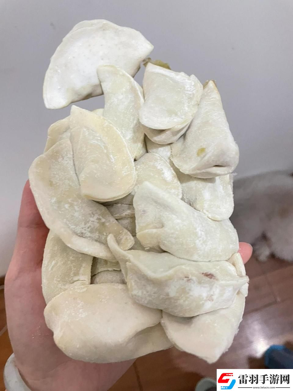 科技界的“厨神”挑战