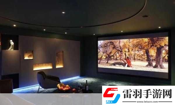 成都私人家庭影院的推荐理由韩国