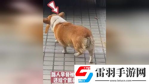 叼人现象探秘