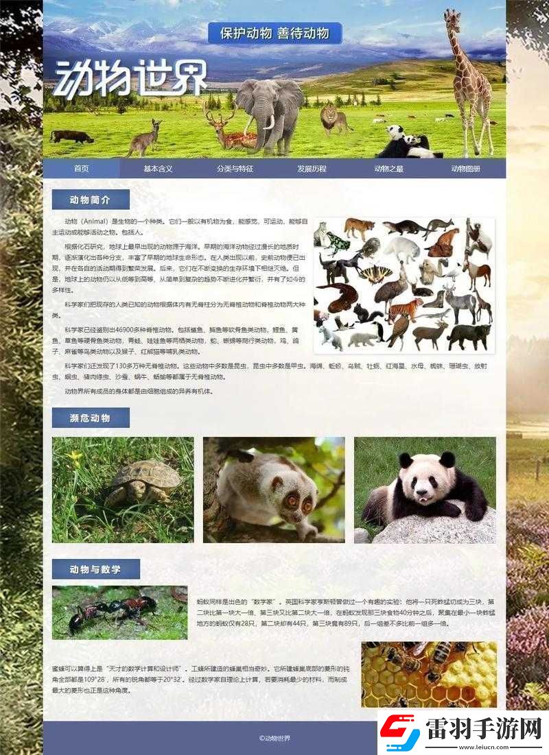 成品站入口页版怎样打开之方法解析