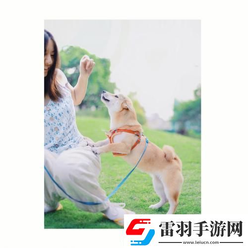 狗儿大变身江湖新秀崛起记