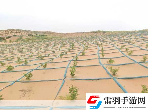 zjy卫生间6分35秒夸克百度