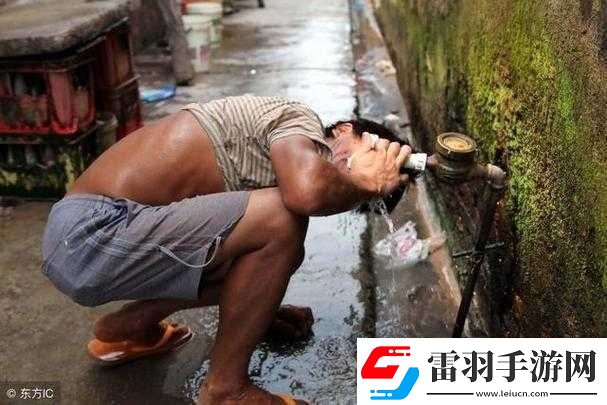农民工野外镖客最新消息
