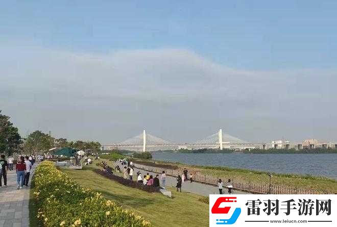 今天免费视频在线观看