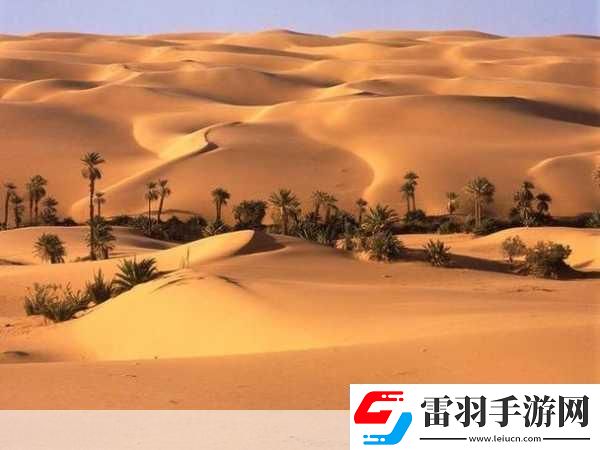 欧美无人区码卡二卡3卡2022