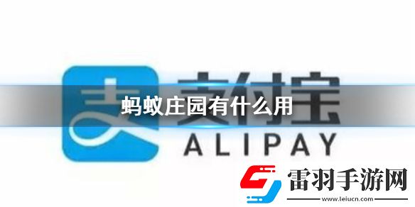 蚂蚁庄园有什么用蚂蚁状元玩法介绍