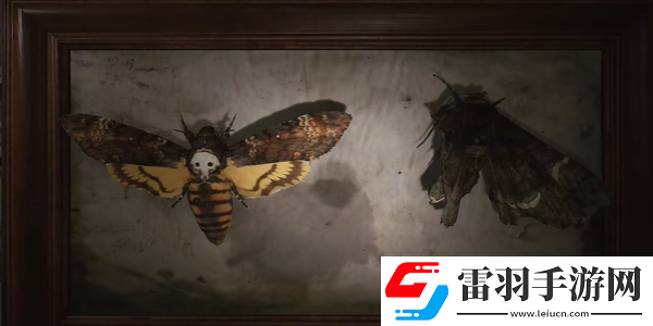 寂静岭2重制版202蛾子房间密码锁怎么开