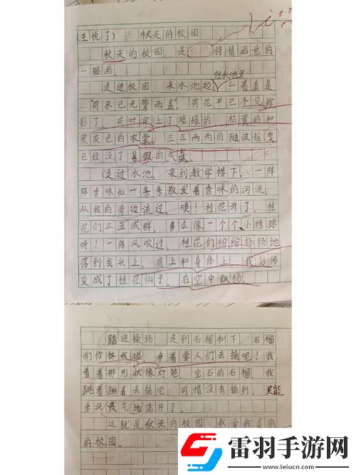 换母荡元宵