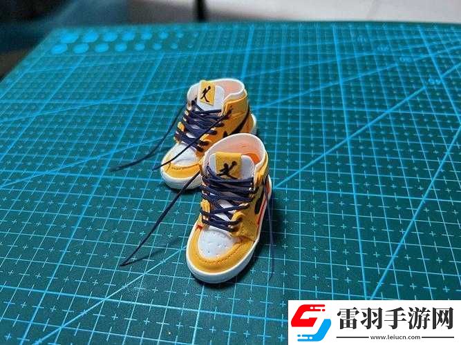 做AJ过程大全