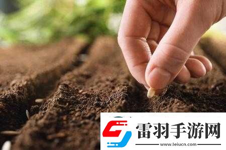 耕种妈妈肥沃的土地