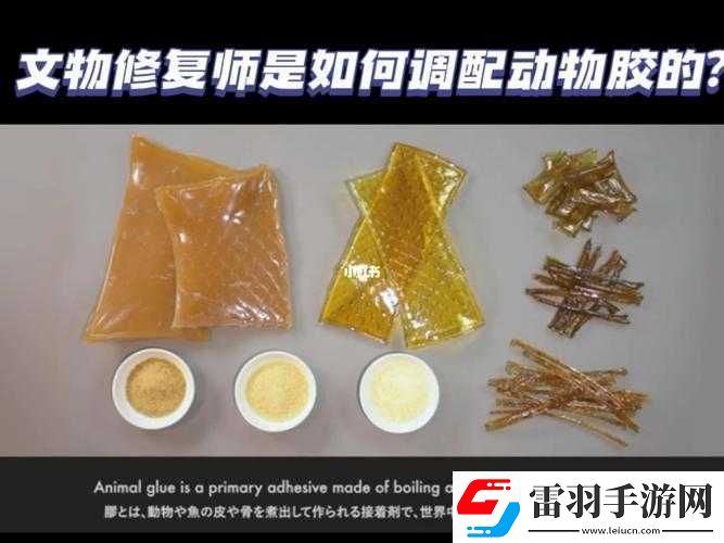 动物胶配方大全高清详细内容及多种配方呈现