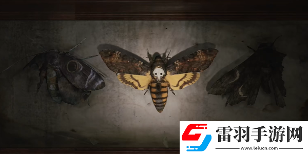 寂静岭2重制版202蛾子房间密码锁怎么开