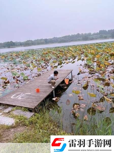 揭秘99无人区码一码二码三1080p不再是梦