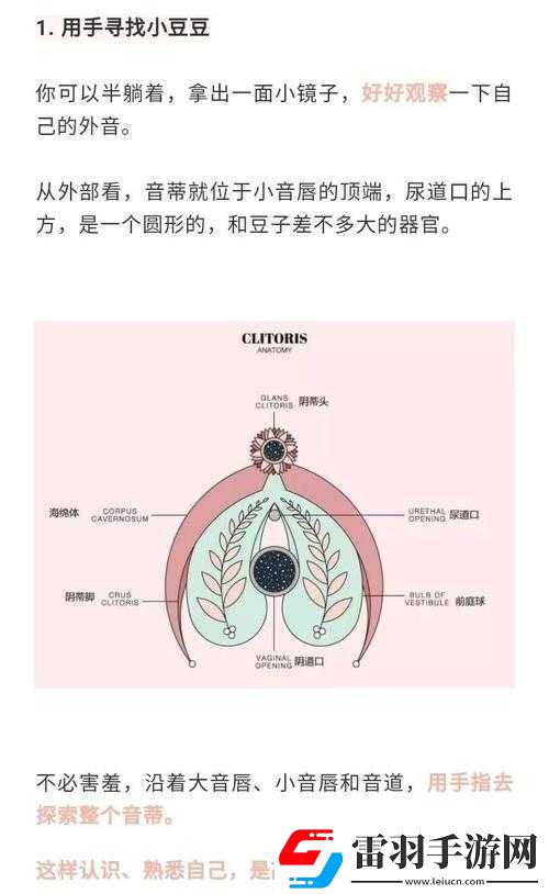 怎么让小豆豆变大的方法