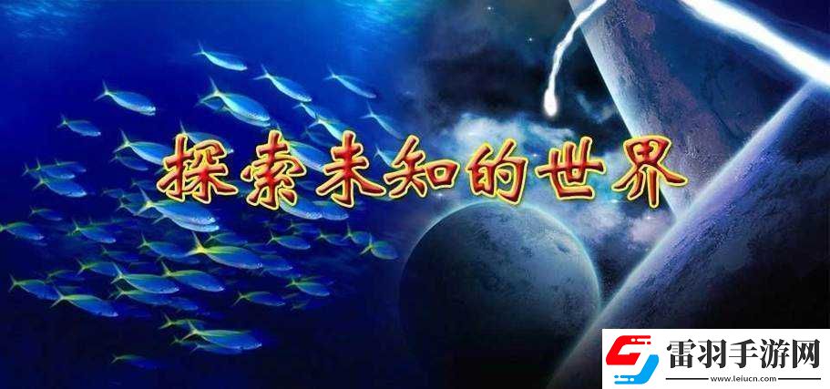 国外精品