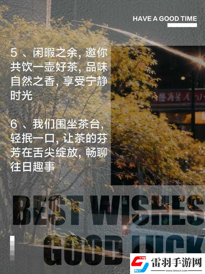 300一晚同城约茶
