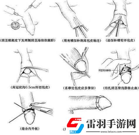 探索**的奥秘