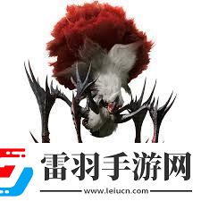 怪物猎人荒野刺花蜘蛛如何组建最佳蜘蛛猎人阵容