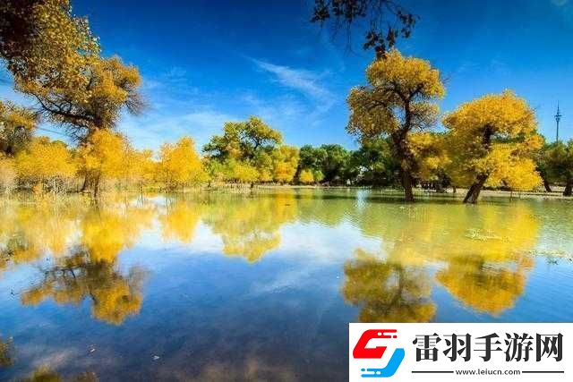 老孙头的春天与林初晴的别样故事
