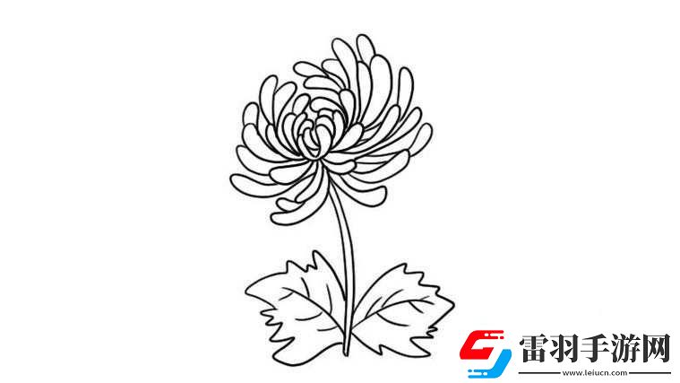 菊花与笔的数量之谜