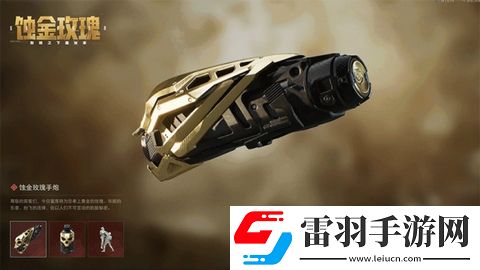 三角洲行动蚀金玫瑰外观什么样