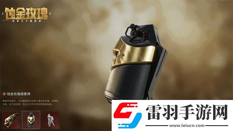 三角洲行动蚀金玫瑰外观什么样