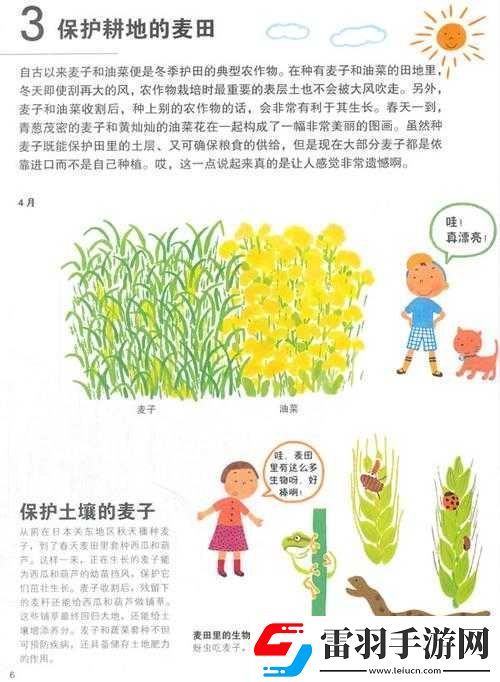 兄弟换麦子