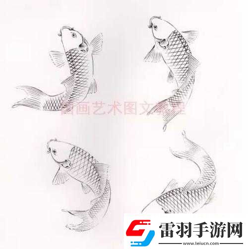 鲤鱼吸水怎么练的图片视频