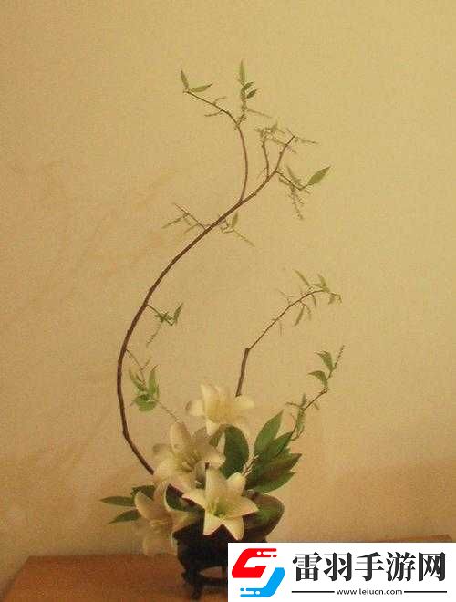 紫龙插花芯的禁忌