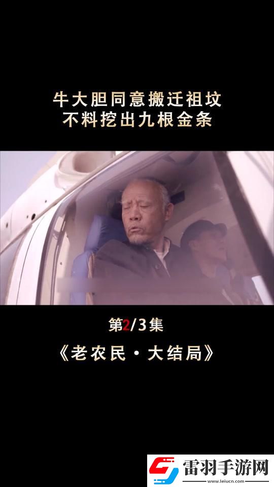 农夫黄金谜踪