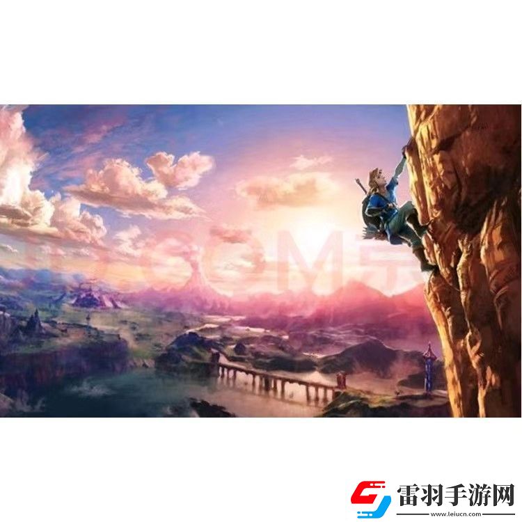 任天堂Switch游戏卡带