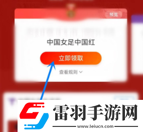 支付宝女足皮肤如何获取