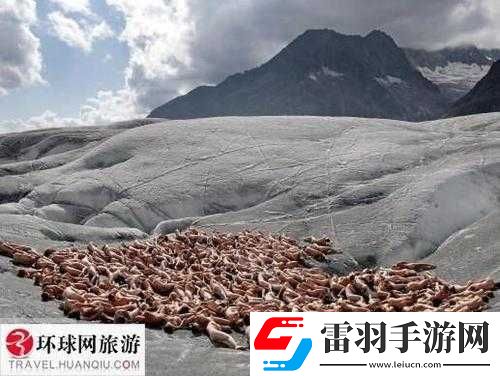 四房播播人体艺术