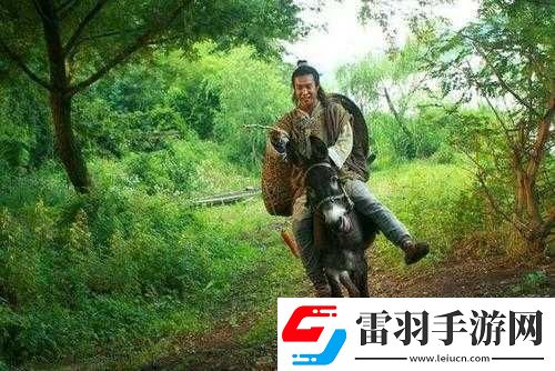 小毛驴影视回顾经典之精彩片段