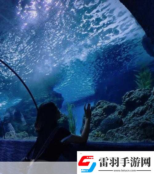探索神奇海洋奥秘