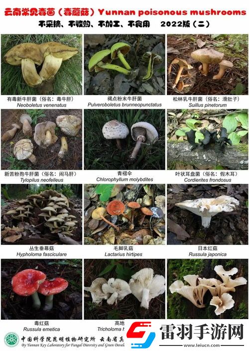 一家六口扫墓后误食致命毒草